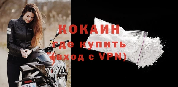 прущие грибы Абинск