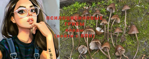 МДПВ Абаза