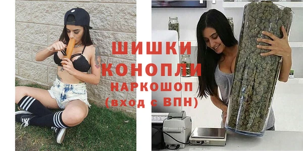 прущие грибы Абинск