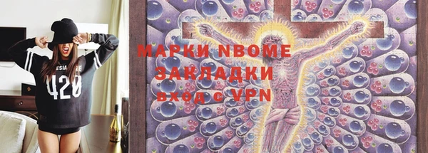 прущие грибы Абинск