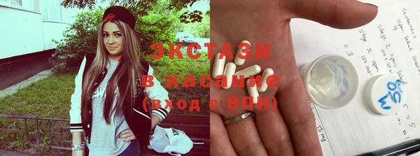 прущие грибы Абинск